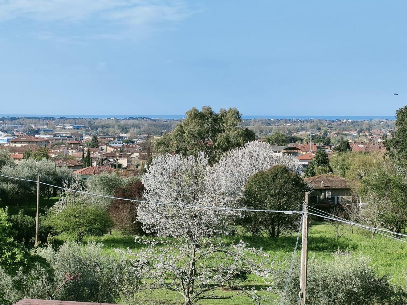 Casa Bianca Villa Pietrasanta Exterior photo